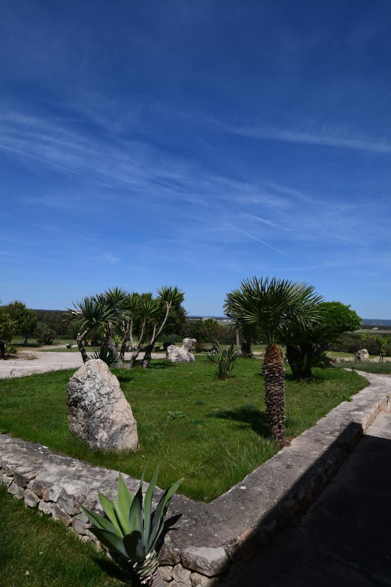 Fattoria La Traccia Villa Fertilia Exterior photo