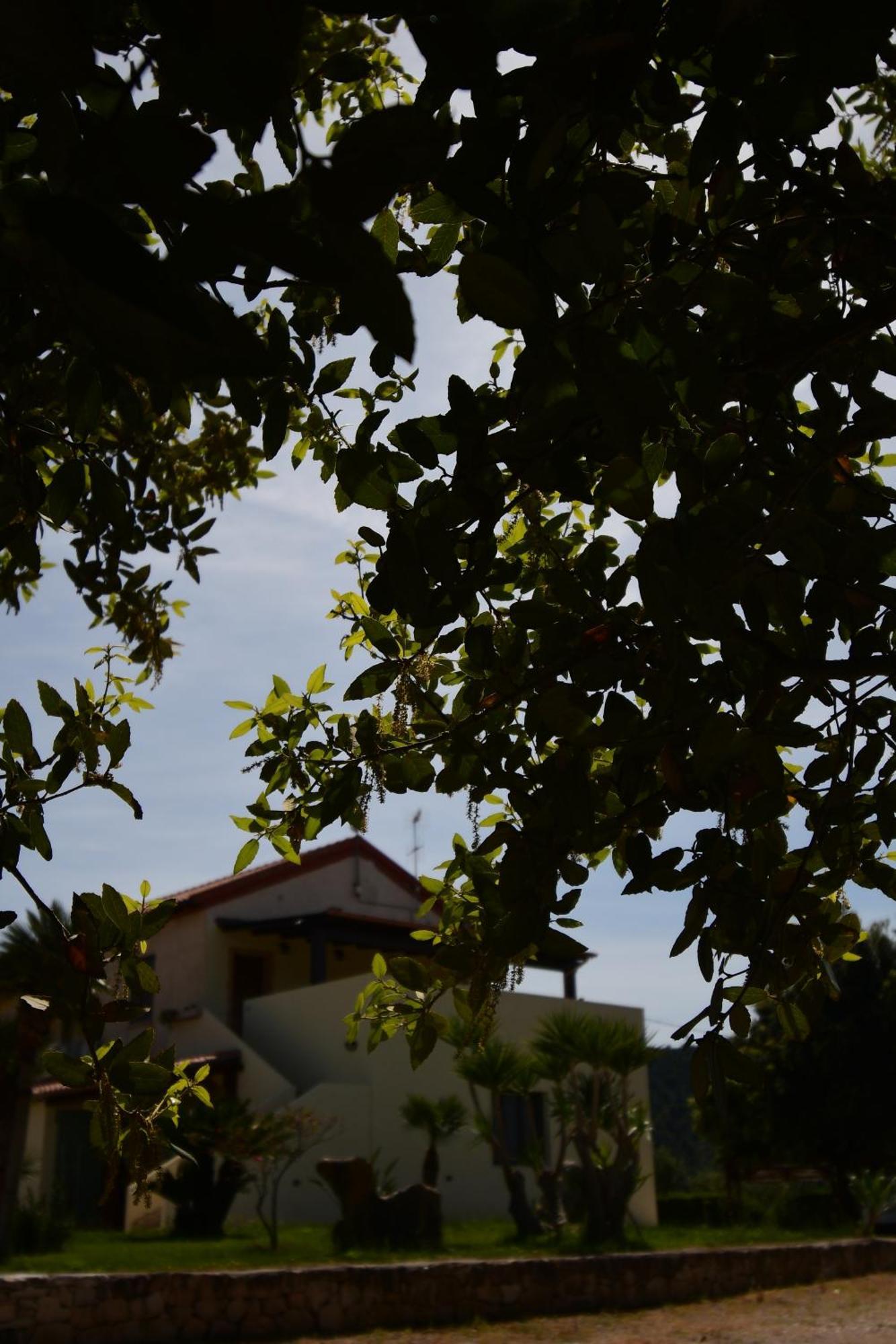 Fattoria La Traccia Villa Fertilia Exterior photo